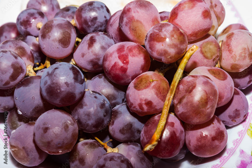 Fototapeta premium the grape fruit