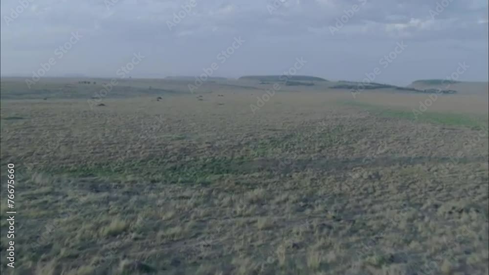 Savanna Africa Grassy Plains Savanna Africa Grassy Plains