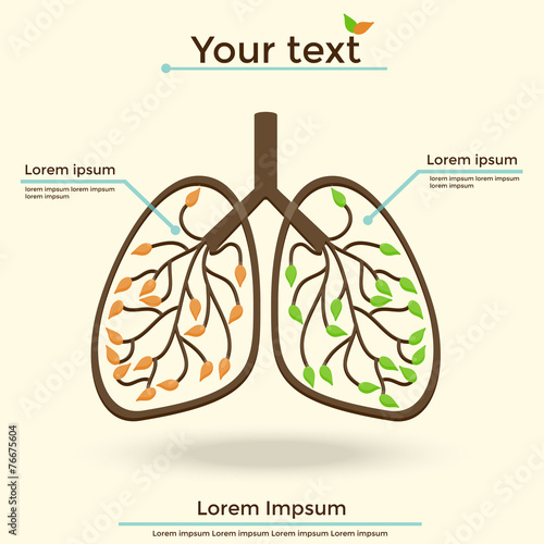 Vector Illustration lungs