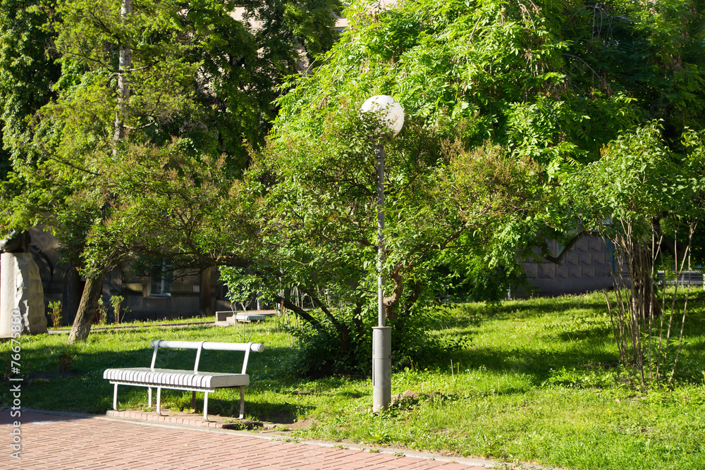 Obraz premium beautiful green park