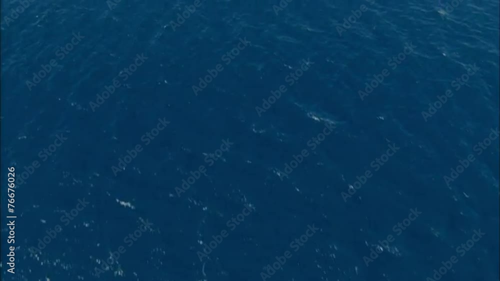 Shallow Ocean Water Shallow Ocean Water