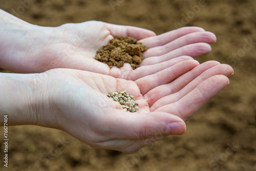 Seeds in Hands