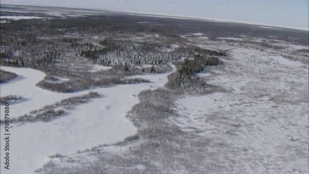 Frozen Tundra Frozen Tundra