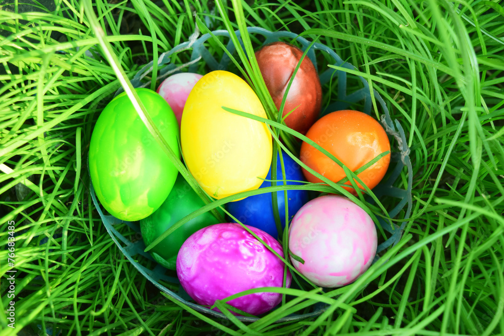 Easter Eggs with Fresh Green Grass over white background