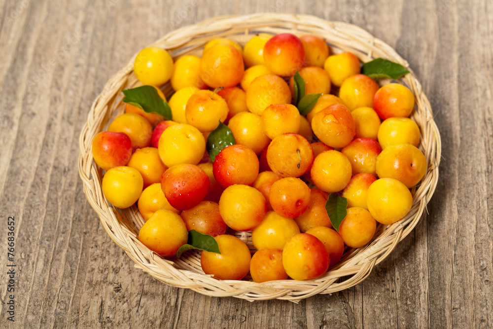 Cherry Plum. Selective focus. Cherry Plum. Selective focus.