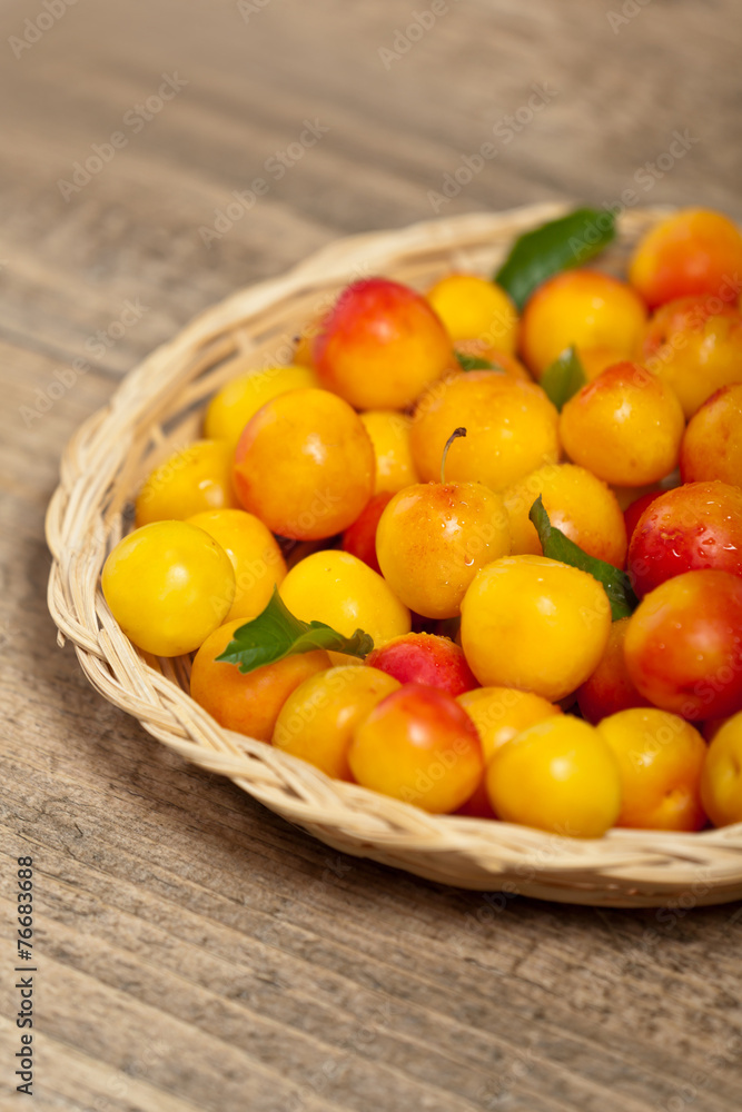 Cherry Plum. Selective focus.