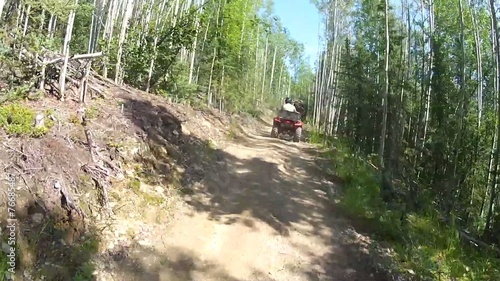 Alaska ATV Trees Trail photo