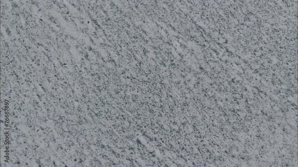 Arctic Tundra Polar Bears Arctic Tundra Polar Bears