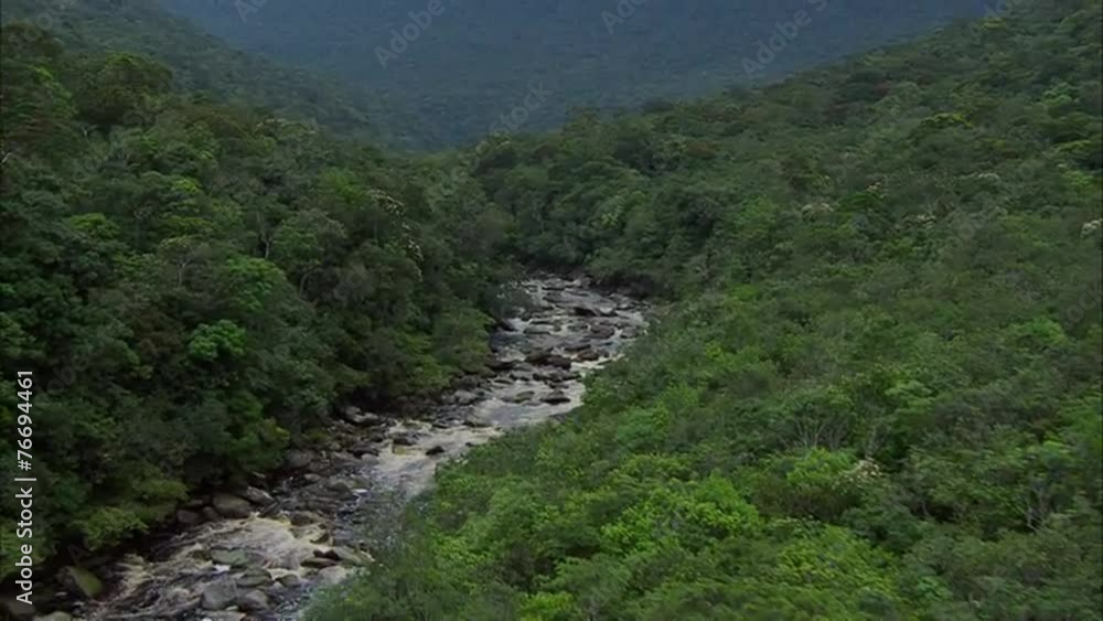 Rainforest River Rainforest River