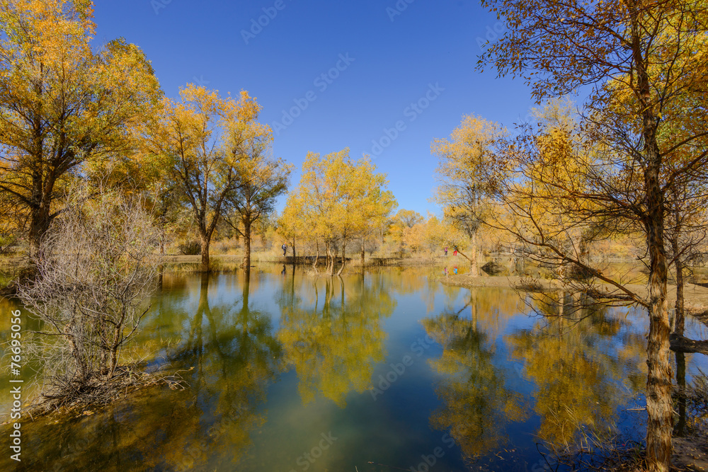Fototapeta premium Shanghai's new Pudong banking and business distric