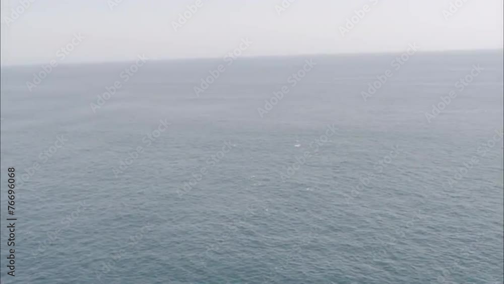 Pelicans Ocean Birds Pelicans Ocean Birds