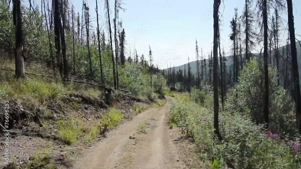 Mountain ATV Trail Forrest Mountain ATV Trail Forrest