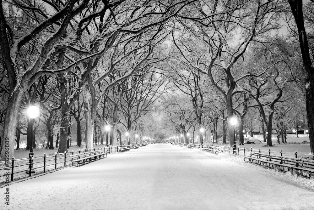 Obraz premium Central Park, NY pokryte śniegiem o świcie