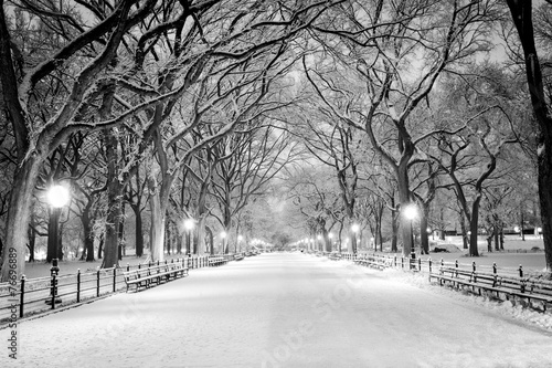 Canvastavla Central Park, NY covered in snow at dawn