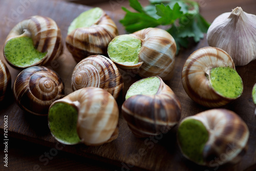 Close-up of snails with garlic butter, studio shot