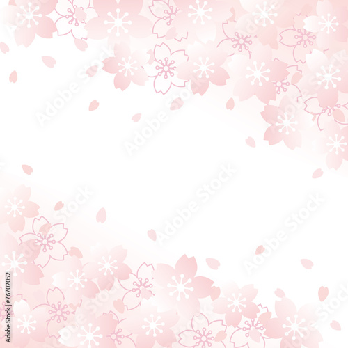 桜　背景