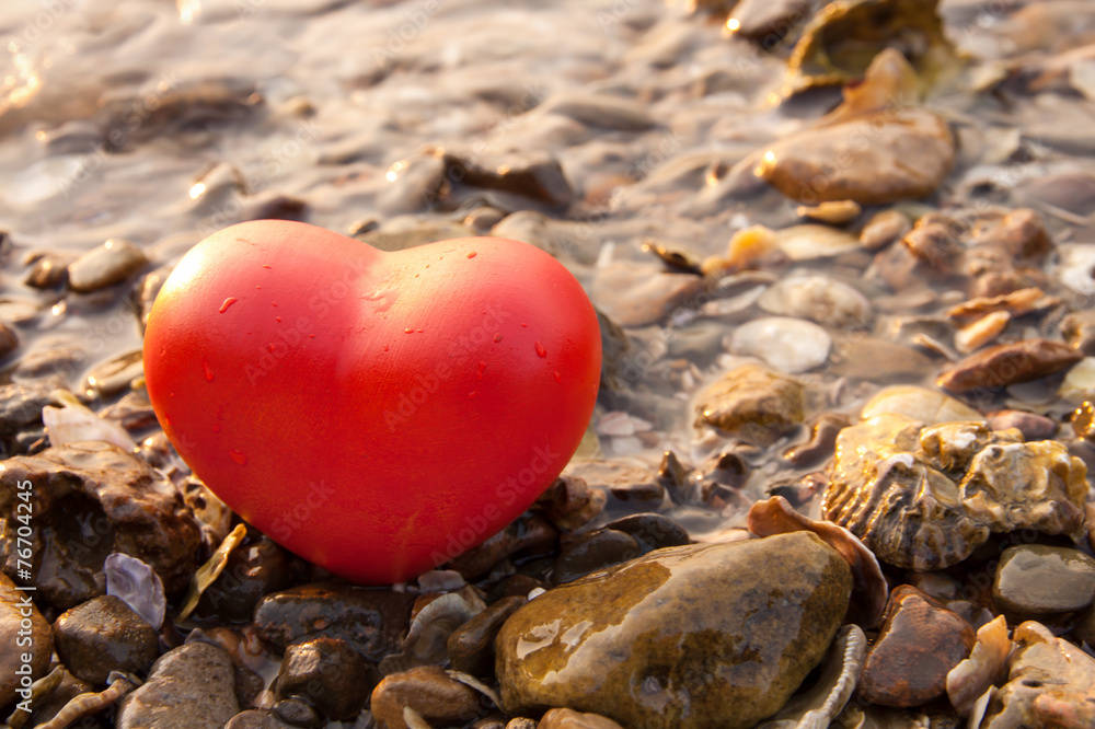Obraz premium red shape heart on rock and shell