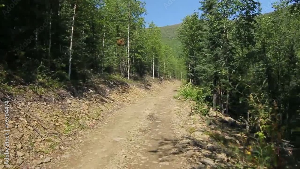 Mountain Alaska ATV Trail Forrest Mountain Alaska ATV Trail Forrest