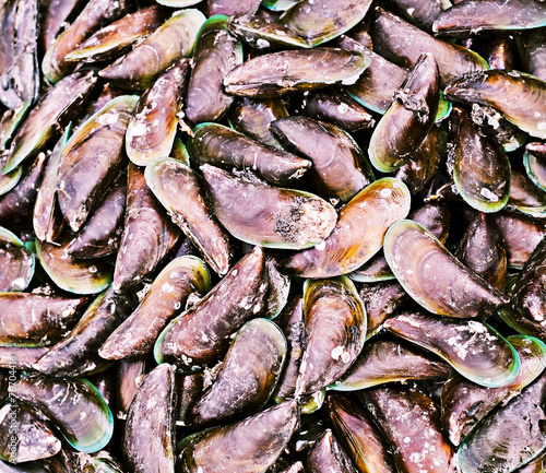 Freshly caught mussels