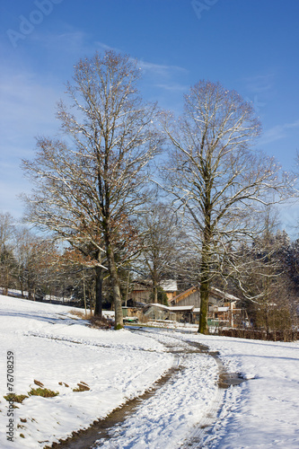 Winterlandschaft Feldweg Bäume