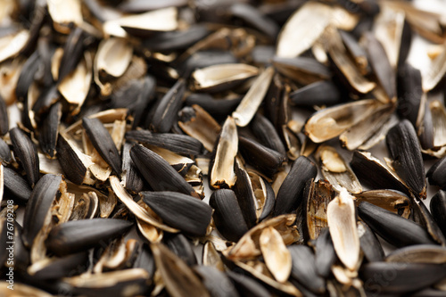 Sunflower seed husk