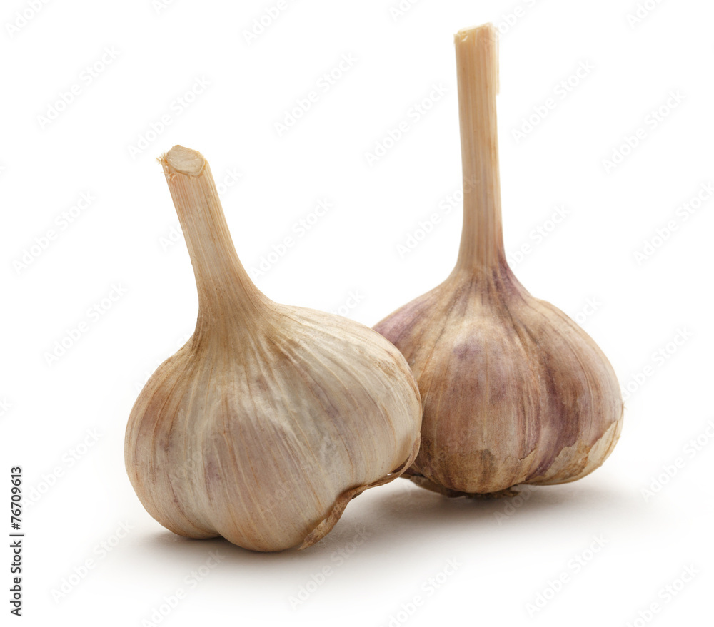 Fototapeta premium Garlic bulbs