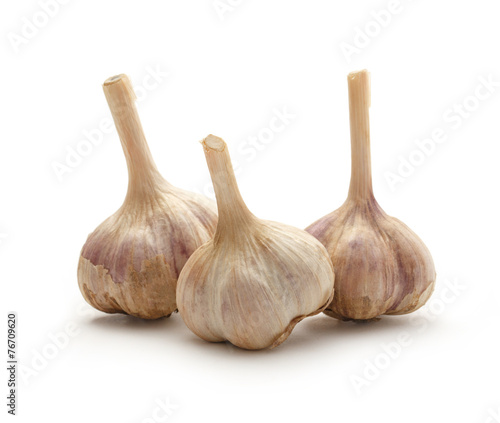 Garlic bulbs