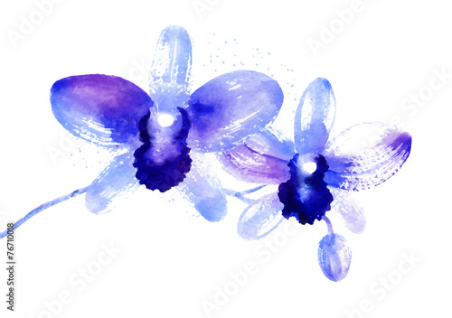 Photo Branch of blue watercolor orchids