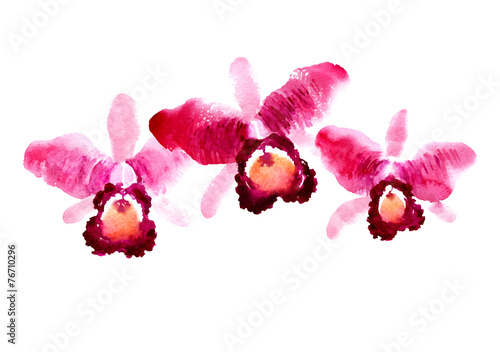 Fototapeta Naklejka Na Ścianę i Meble -  Branch of red watercolor orchids