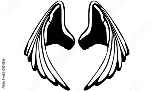 Angel Wings. Ilustración de Alas de Ángel Simétricas en Blanco y Negro - Vector de Arte Lineal