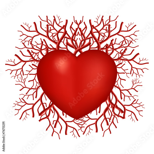 Valentines Day Heart symbol with vascular