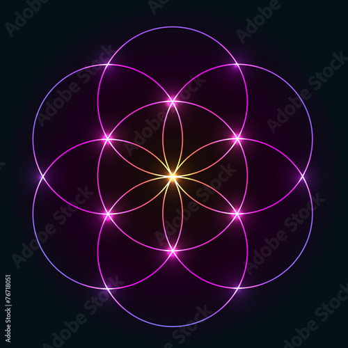 Shiny Geometrical Ornament