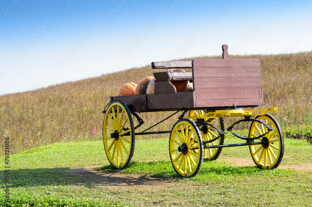 Wagon in large pumpkin farm