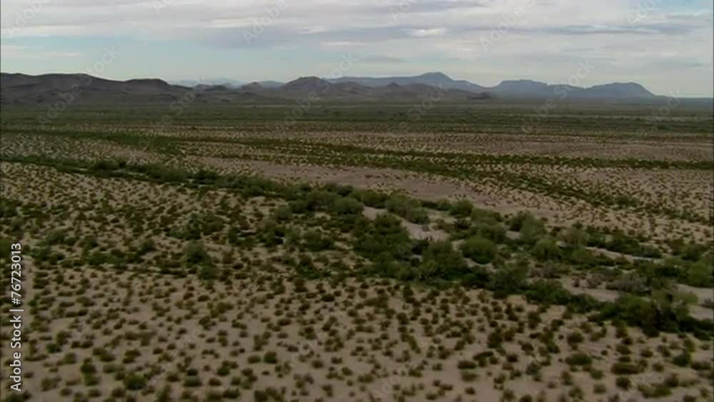 High Desert High Desert