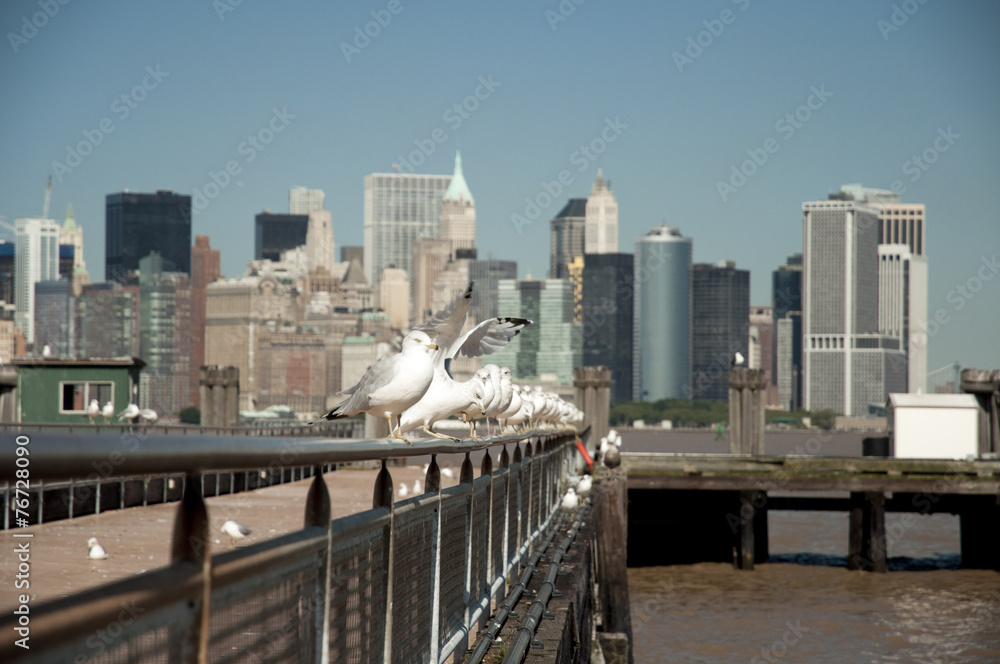 Naklejka premium Seagulls lined up on a pier with manhattan skyline in background