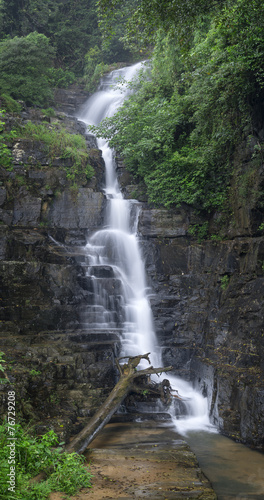 waterfall and falled tree