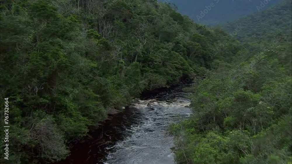 Rainforest River Rainforest River