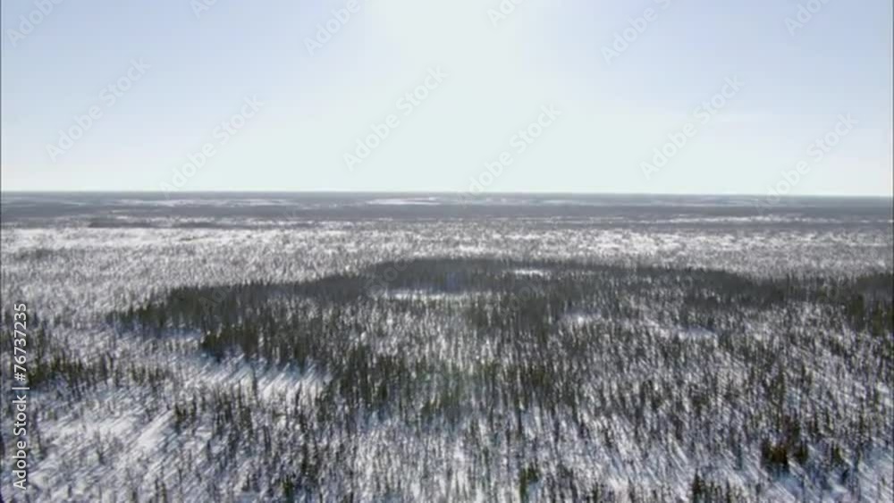 Frozen Tundra Frozen Tundra