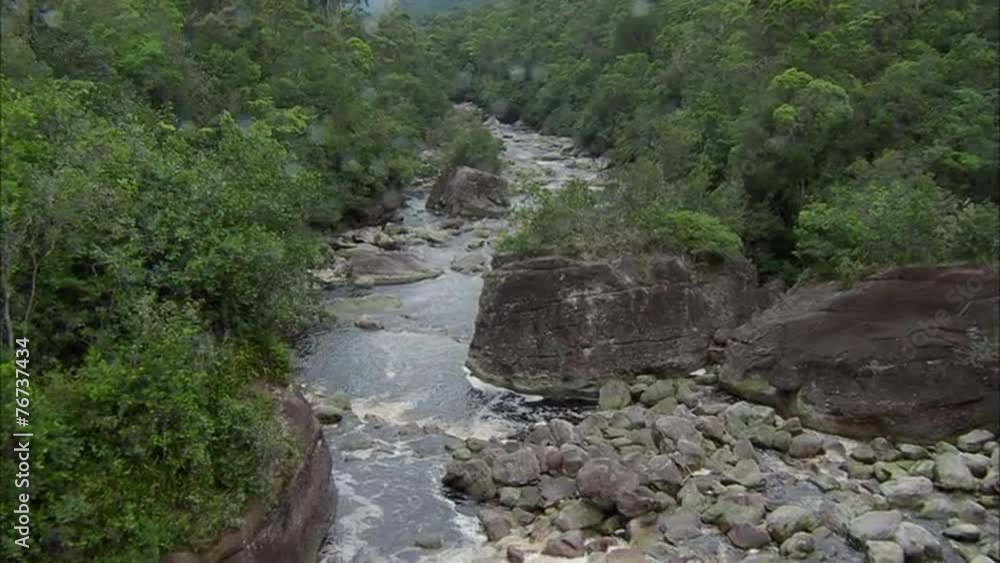 Rainforest River Rainforest River