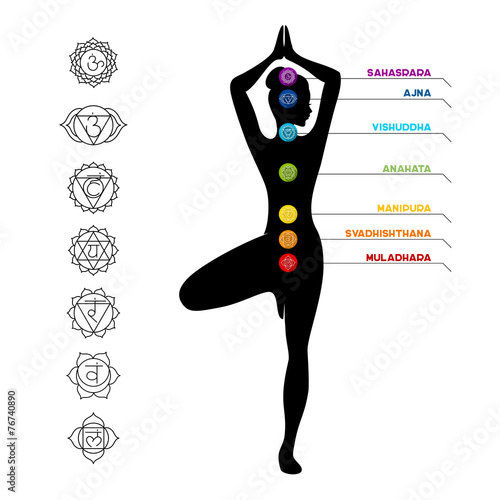 Color chakra scheme on white background