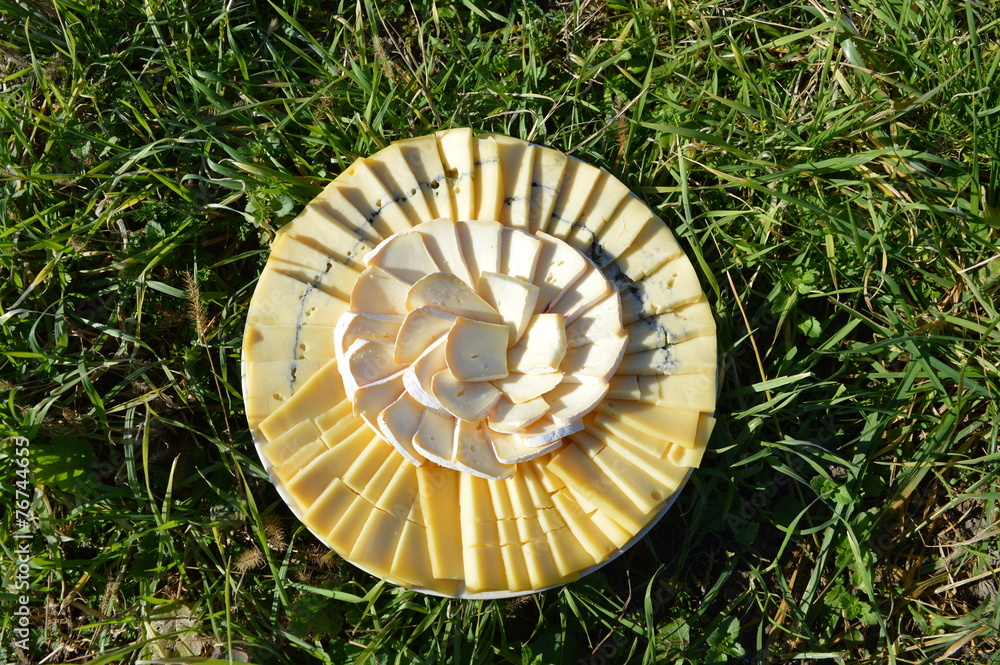Assiette de fromage dans l'herbe