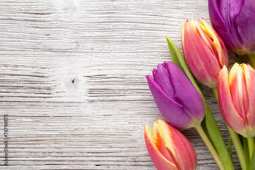 Fototapeta Naklejka Na Ścianę i Meble -  Tulip.