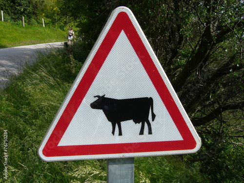 Attention au vache! photo