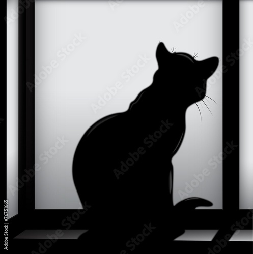 Cat on the window