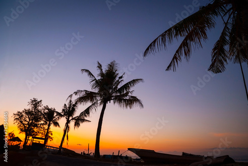 Colorful sunset with palm tree silhouettes  Indonesia