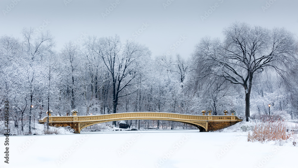 Naklejka premium Dreamy landscape with the Bow Bridge in Central Park, NYC