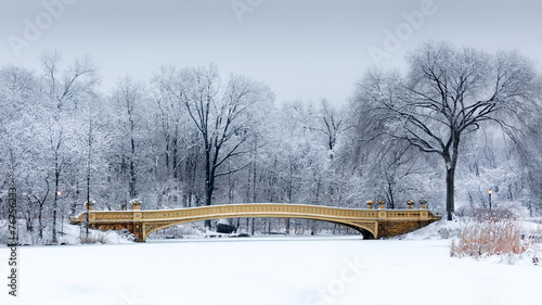 Dreamy landscape with the Bow Bridge in Central Park, NYC photo