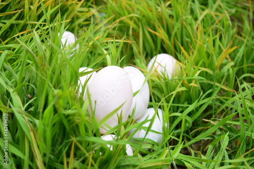 Easter eggs on green grass. Spring holidays concept