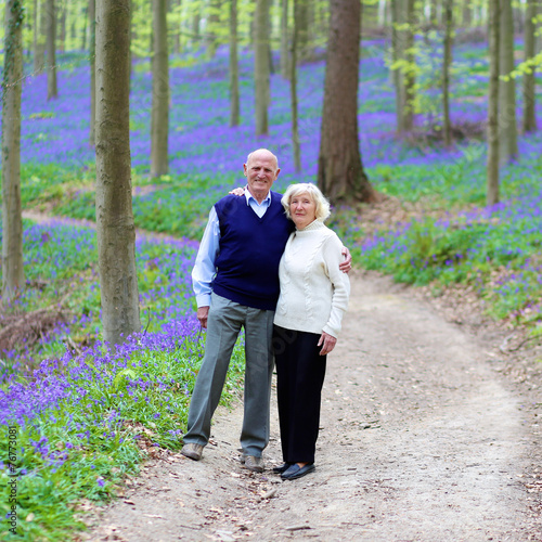 Senior couple walking in beautiful spring forest © cromary