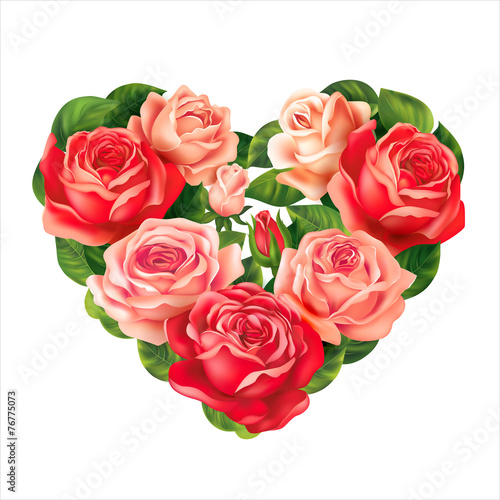 Roses heart on white. Vector